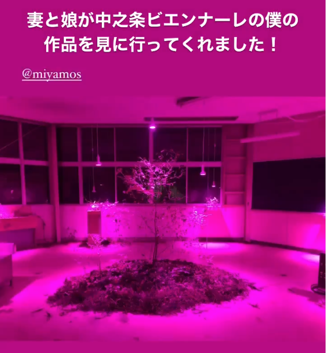 An art installation featuring a central plant surrounded by pink lighting in a spacious room with large windows.