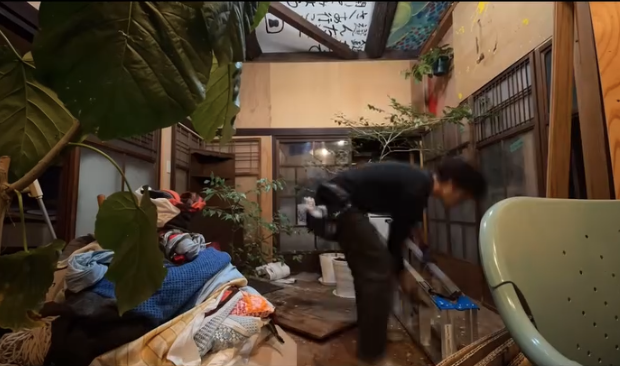 A person tidying up a messy room filled with plants, clothes, and various items, emphasizing the effort to declutter the environment.